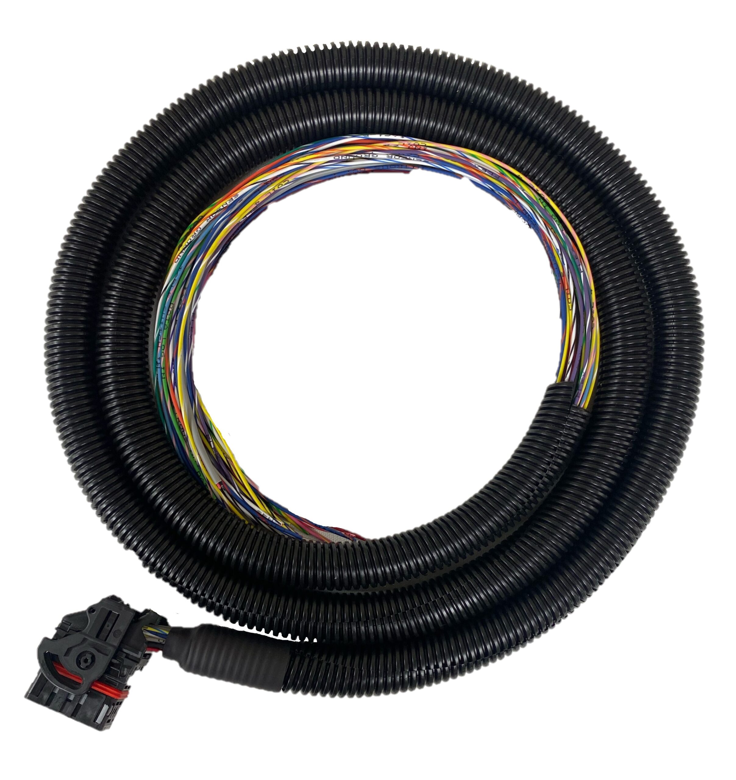 MS3 Gold Lite with 8ft Harness – EFI Source